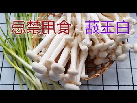 白玉 功效